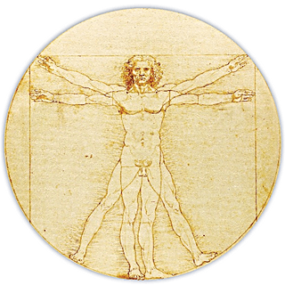 L'Homme de Vitruve, Léonard de Vinci
